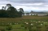 gal/Abseits_der_Berge/_thb_3ccScotland.jpg