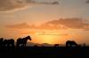 gal/Abseits_der_Berge/_thb_S27.jpg