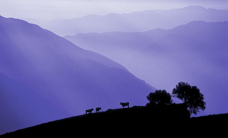 gal/Berge_der_Heimat/7.jpg
